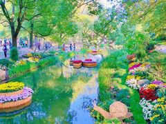 -上海共青森林公园