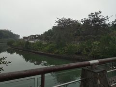 -万绿园