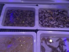 -圣捞海鲜自助餐厅(乐从天佑城店)