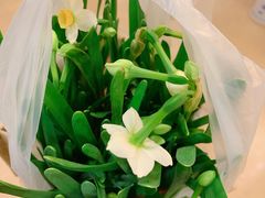 -上海精菜馆(虎踞关店)
