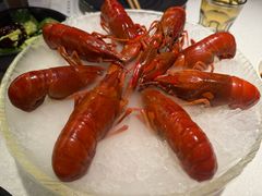 -红盔甲·小龙虾(天钥桥店)