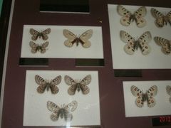 GEDC1402-上海昆虫博物馆