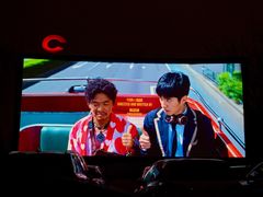 -枫花园汽车电影院(朝阳公园店)