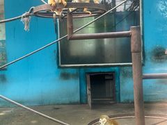 -秦皇岛野生动物园