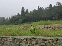 -妙峰山风景名胜区