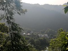 -南山植物园