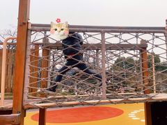 -映月湖中央公园