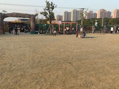 -菊园百果园
