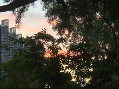 -清湖文化公园