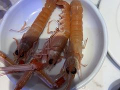 -半岛听涛蒸汽海鲜自助(K11店)