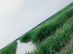-东方华地城湿地温泉度假区