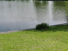 -同济大学(嘉定校区)