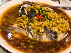 -庐州太太(信地店)