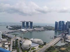 -新加坡瑞士史丹福酒店