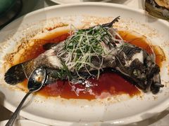 -大东海海鲜酒楼(渔人码头总店)