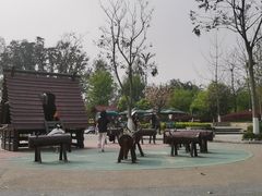 -成飞公园
