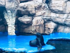 -华夏文旅海洋公园