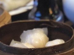 -食为先(Shark Fin)
