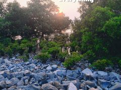 -宝安西湾红树林湿地公园