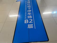 -中国人民解放军总医院(301医院)