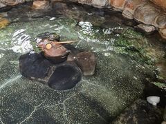 -厦门日月谷温泉渡假村