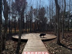 -上海山野camping·户外天幕烧烤·团建拓展营地