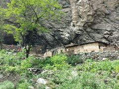 android_upload_pic-少华山国家森林公园