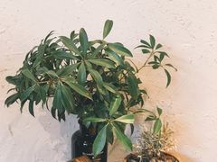-那家面包房(珠江路店)