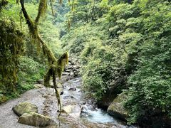-西岭雪山大飞水景区