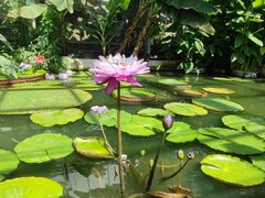 -国家植物园南园