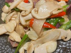 -滇野云南野生菌餐厅(陕西南路店)