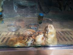 -北戴河集发农业梦想王国
