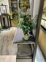 -御珠宫坊(壹海城ONEMALL店)