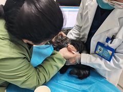 -达爱动物医院·犬猫分区·CT·复杂眼科(远洋山水分院)