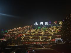 -枇杷园食为鲜火锅(南山店)