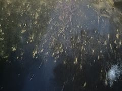 -核客电玩城(东门店)