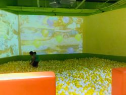 -宝燕乐园(闵行旗舰店)