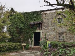 -杏花村文化旅游区