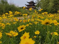 -杏花村文化旅游区