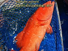 -凯华海鲜火锅·传承三十六年