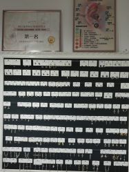 -AI艾耳·专业手工耳洞·穿孔美学馆