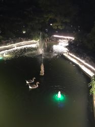 -虹桥迎宾馆·宴会厅