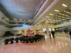 -中国人民解放军总医院