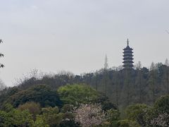 -焦山风景区