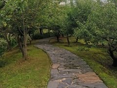 -香雪海
