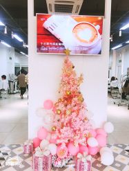 -ASA HAIR SALON