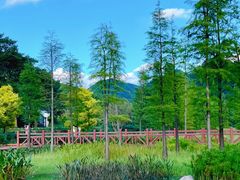 -广州市石门国家森林公园