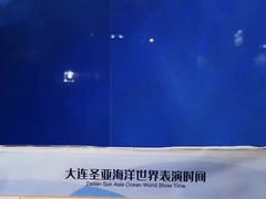 -大连圣亚海洋世界