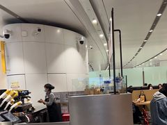 -麦当劳(北京大兴机场二层国内到达(安检外)店)