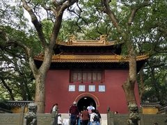 -普陀山风景名胜区-法雨禅寺